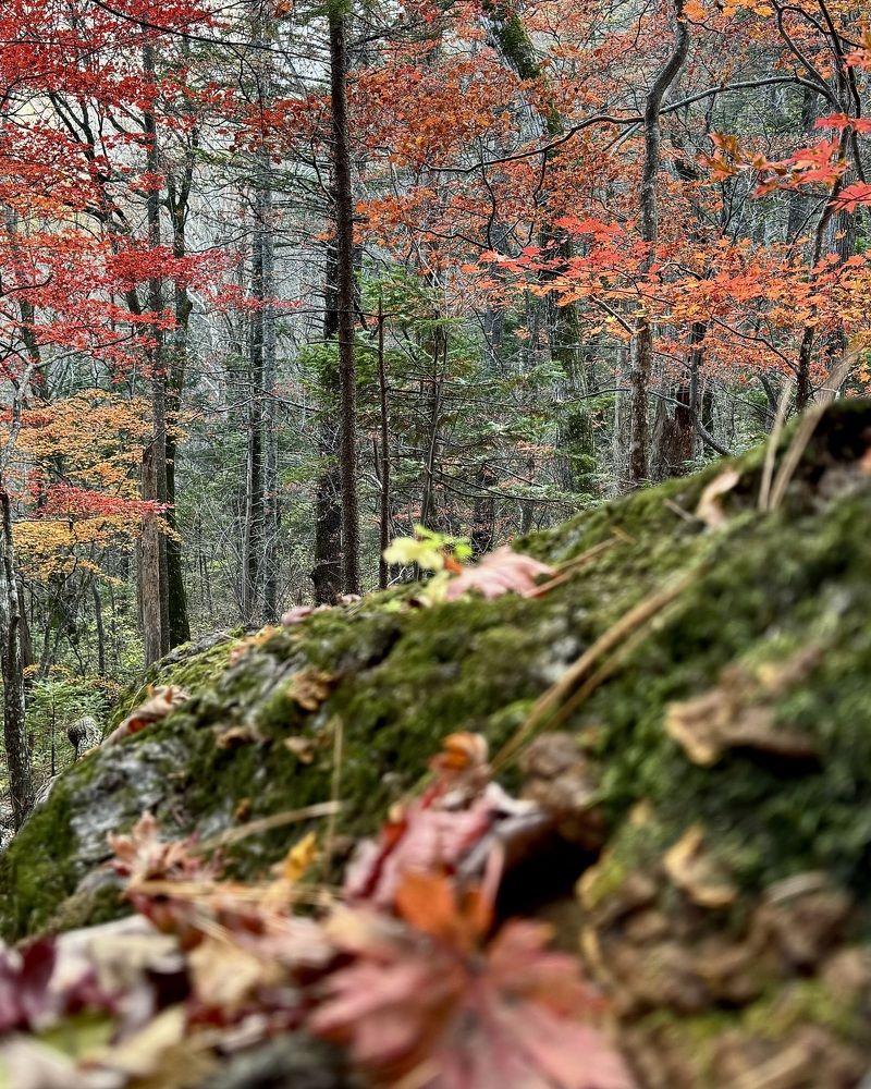 Photograph by Дина Желанова