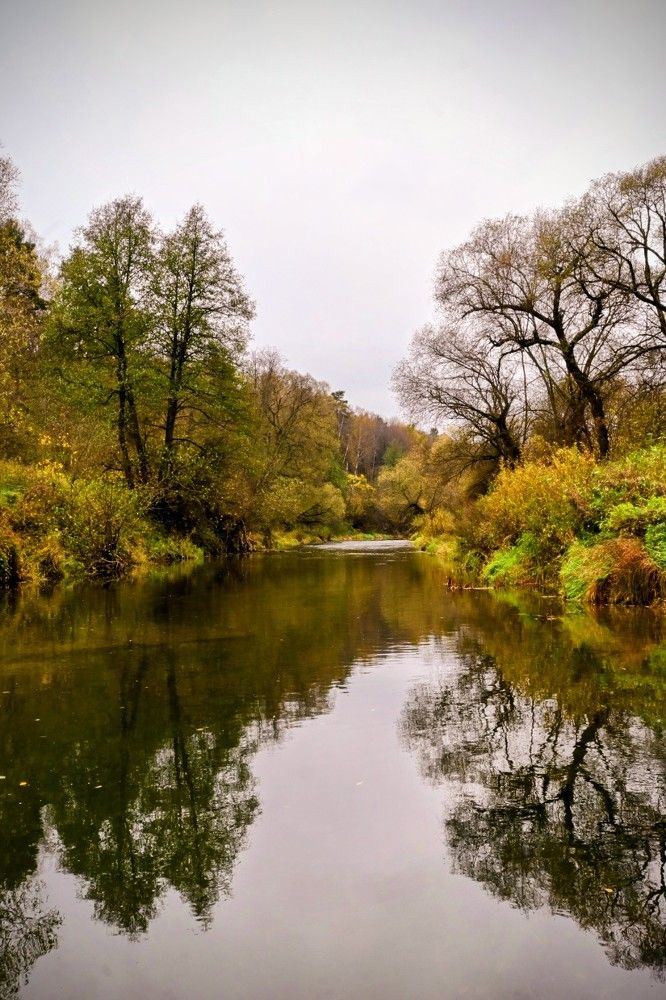 Photograph by Дарья Булавина