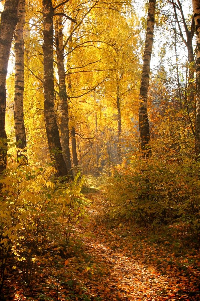 Photograph by Виктория Хмара