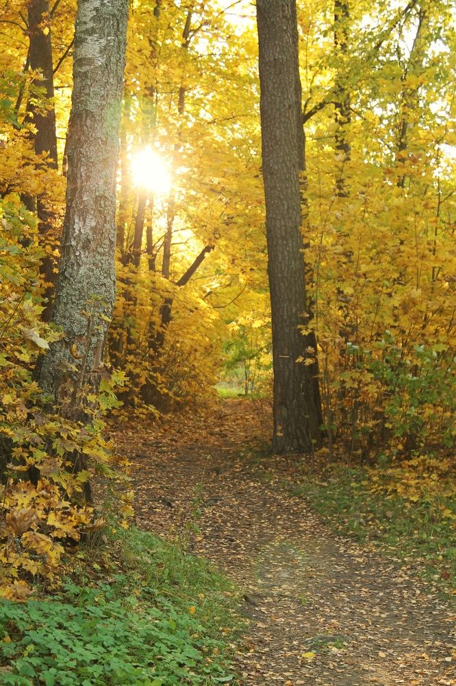 Photograph by Виктория Хмара