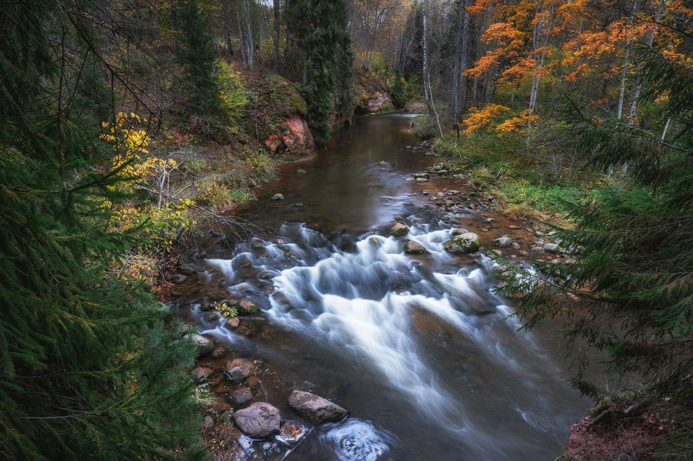 Photograph by Dace Spalvina