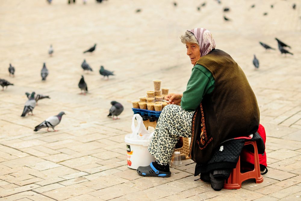 Фотография автора PIROUZ MOSHAVASH