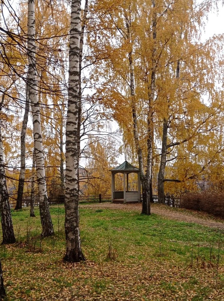 Photograph by Ирина Орлова