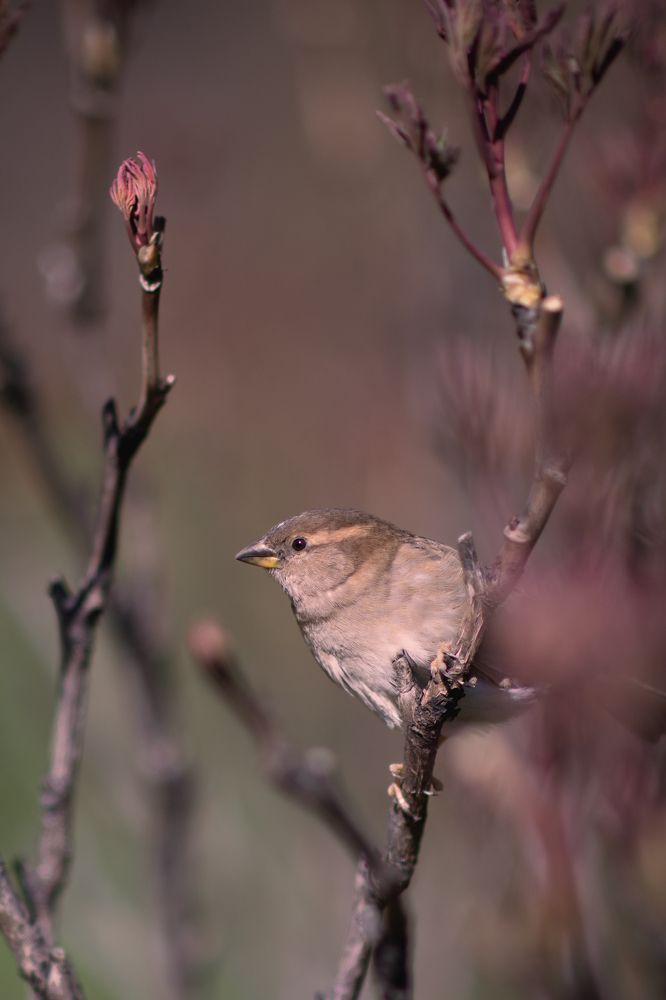 Photograph by Светлана