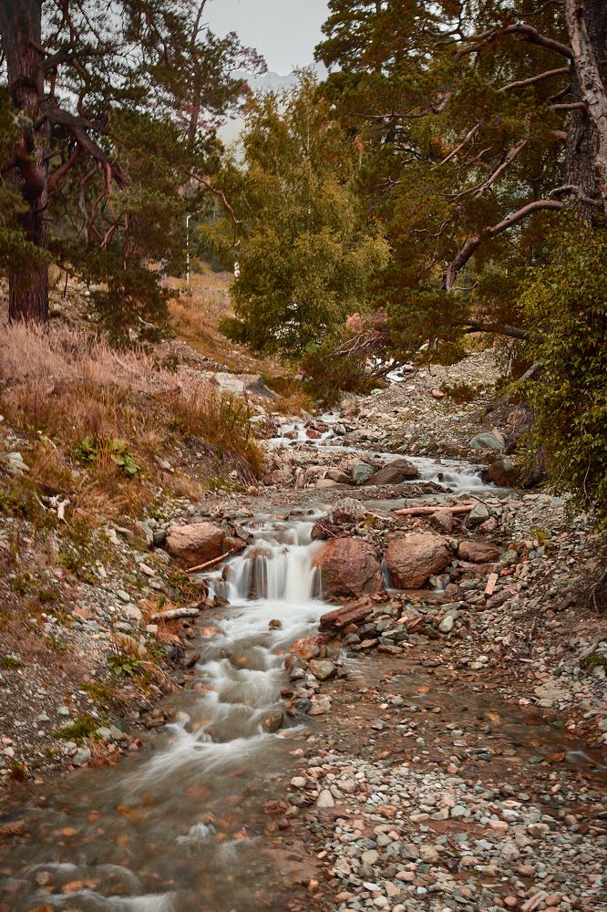 Фотография автора Дмитрий Соколов