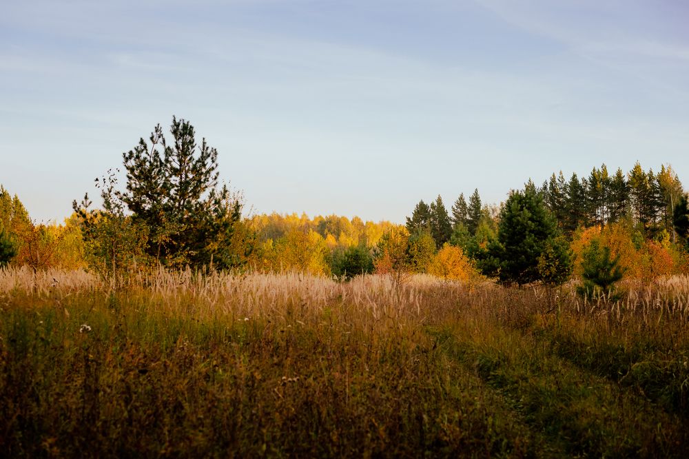 Photograph by Марина Слепова