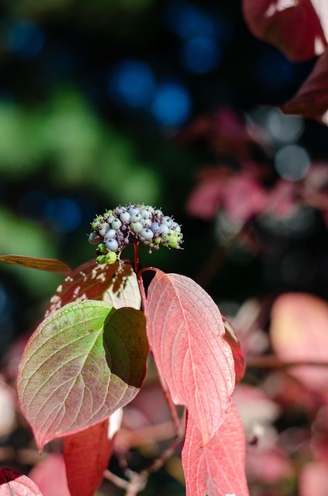 Photograph by Ксения Тенькина