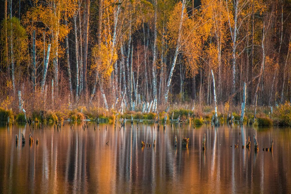 Photograph by Штунь Татьяна