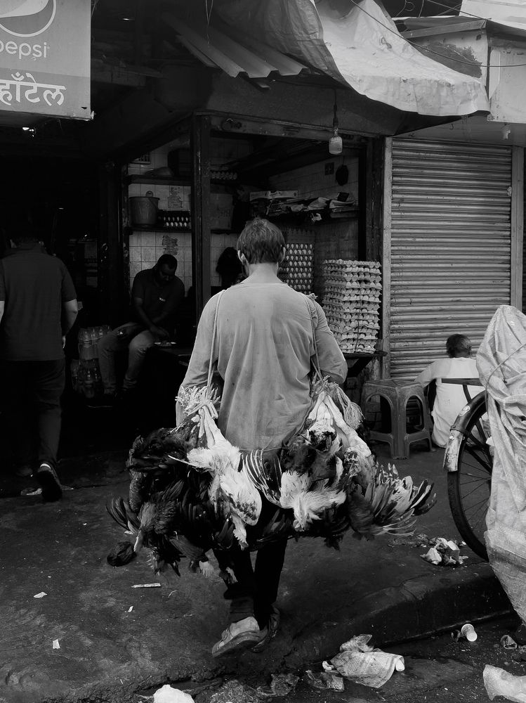 Photograph by Yahya Gopalani