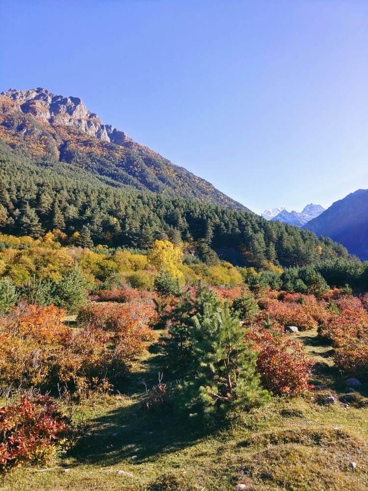 Photograph by Олег Васильев