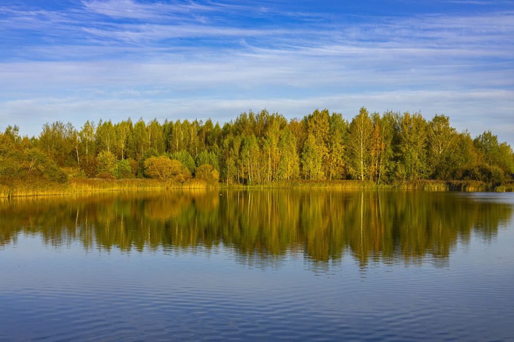 Фотография автора Vadim Kopilets