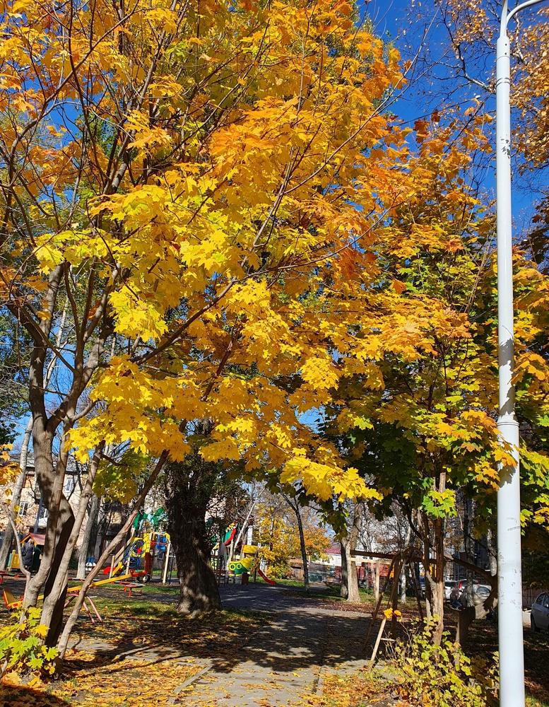 Photograph by Жанна Регор