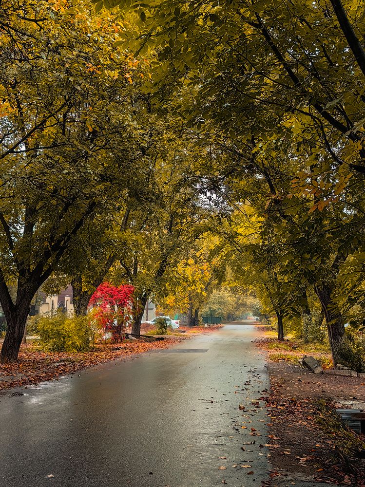 Photograph by Igor M.