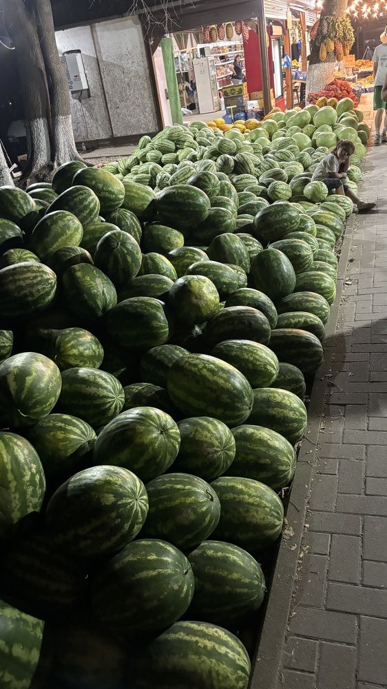 Photograph by Елена Гущина