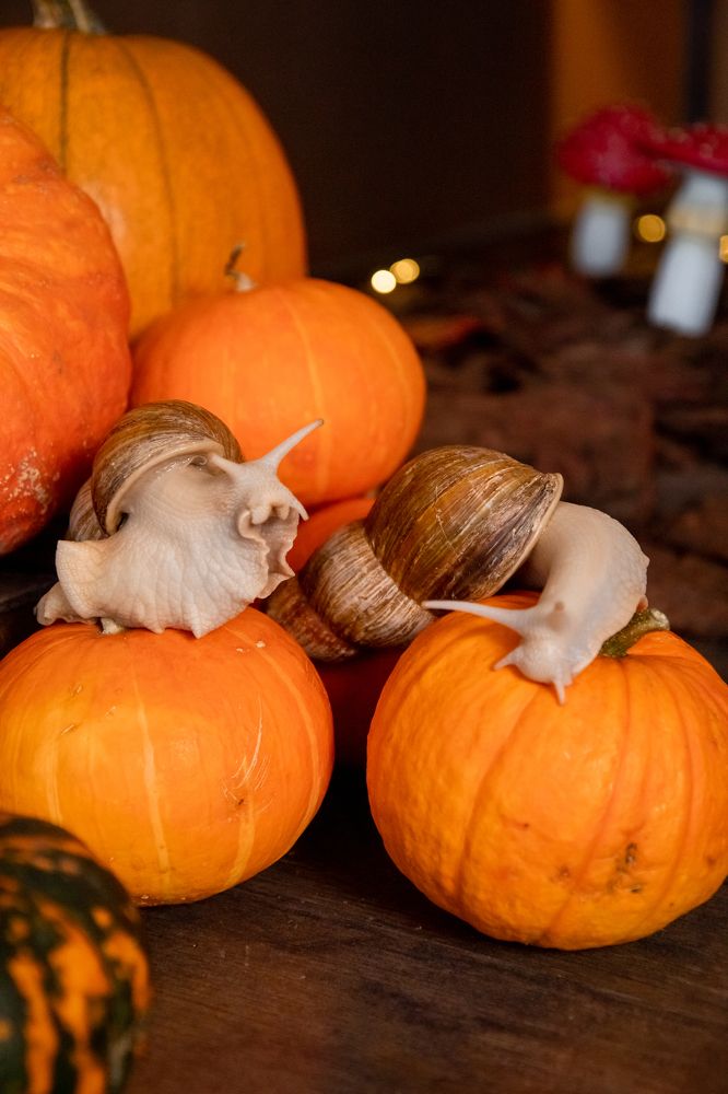 Photograph by Татьяна Мелехина