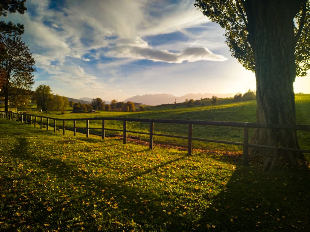 Photograph by Irina Tyras