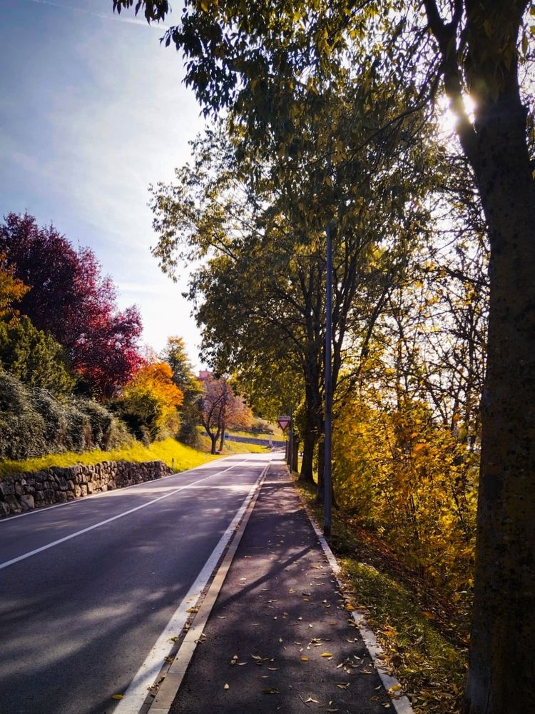 Photograph by Irina Tyras