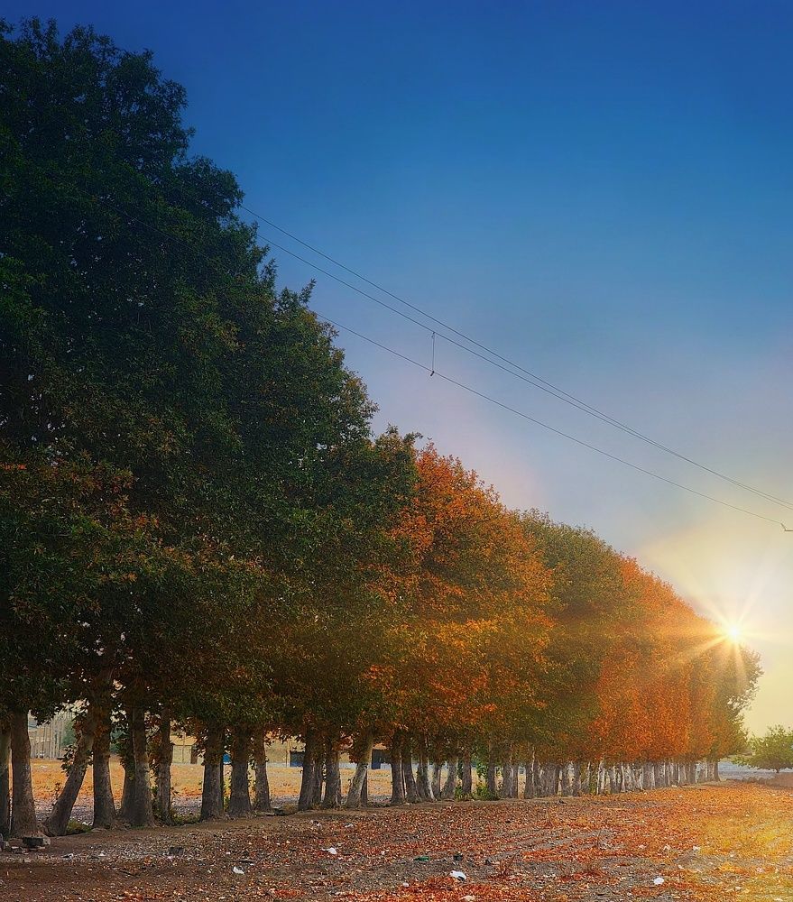 Фотография автора reyhane  khavaninzadeh