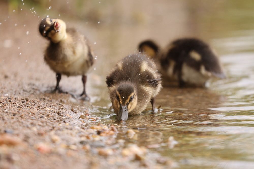 Photograph by Рыбаков Руслан