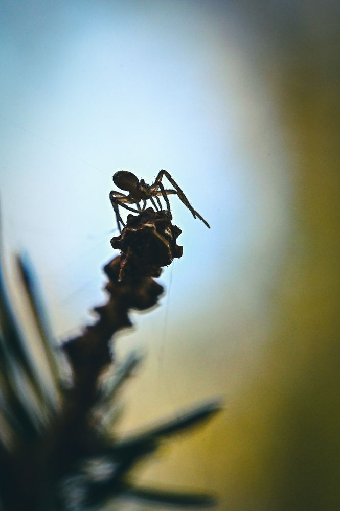 Photograph by Алексей