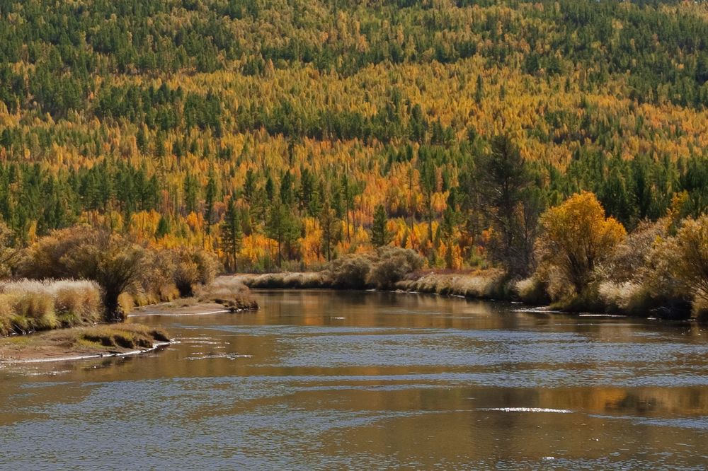 Photograph by Евгения Гуляева