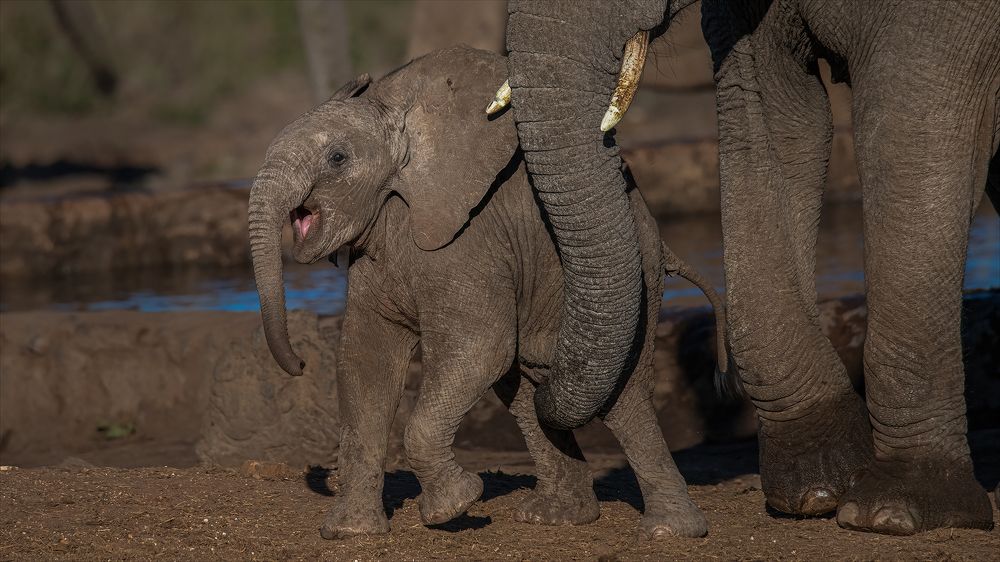 Photograph by Tania Cholwich