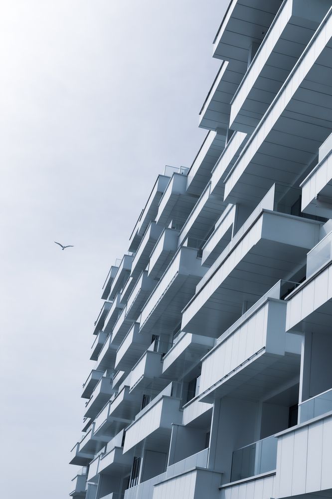 Photograph by Казаков Александр