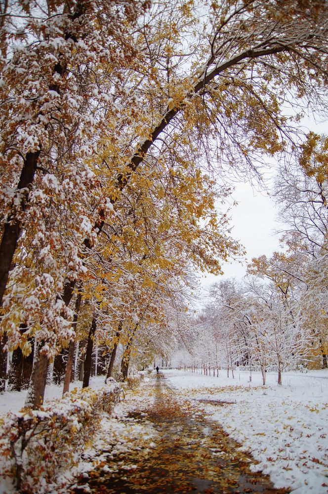 У природы нет плохой погоды...