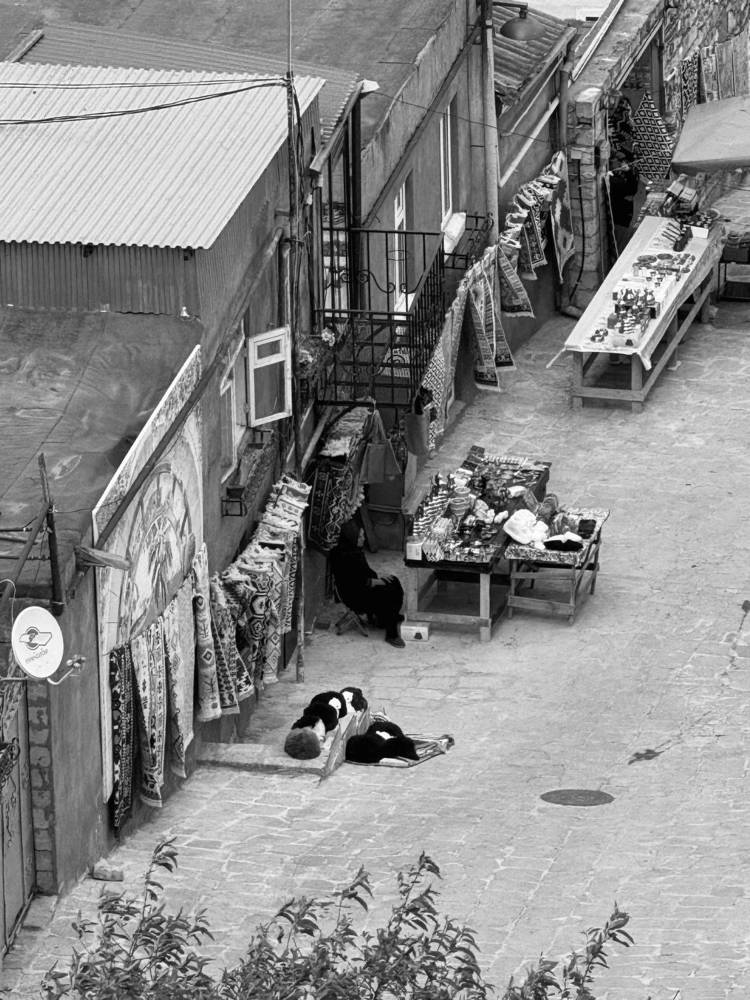 Фотография автора Дарья Викторова