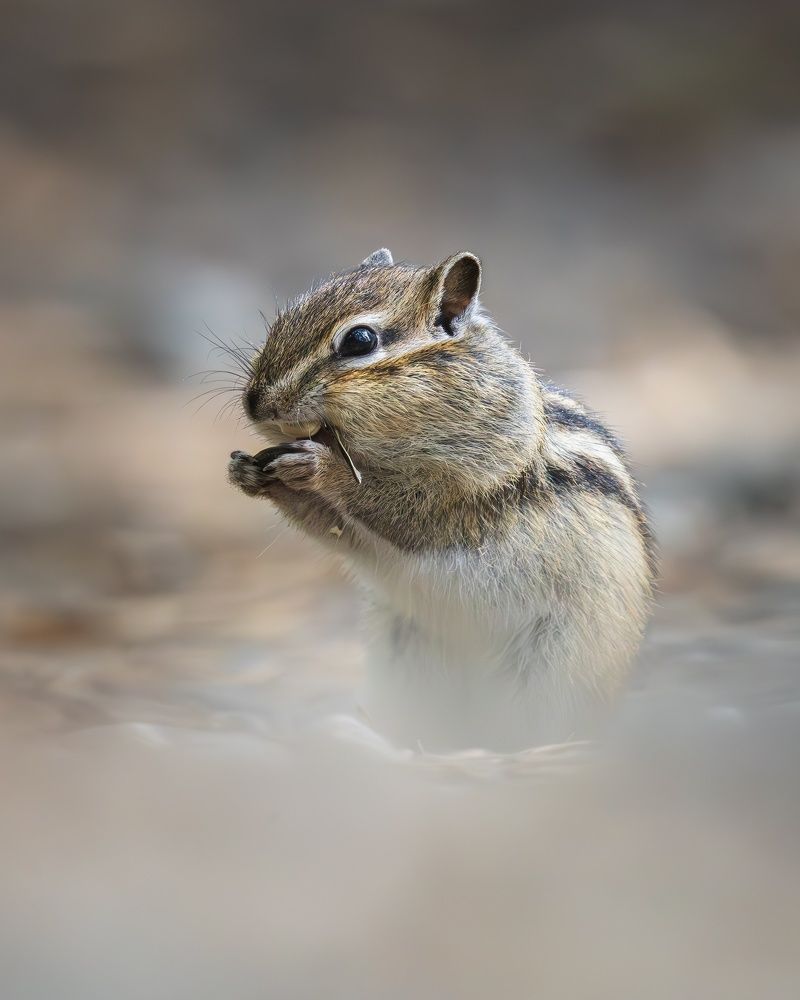 Фотография автора Римма Герасименко