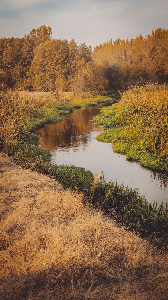 Photograph by Ольга Глущенко