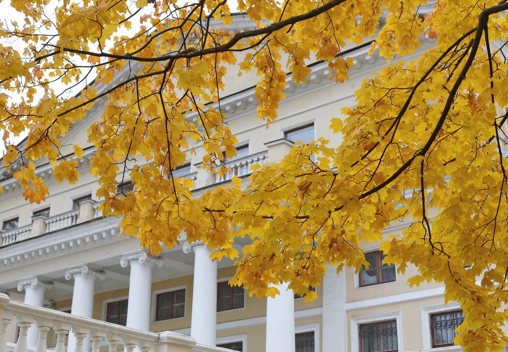 Photograph by Геннадий Капунов