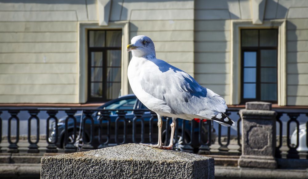 Photograph by Лиана Ратия