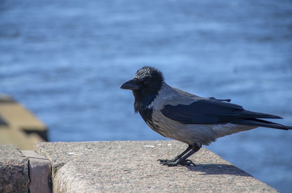 Photograph by Лиана Ратия