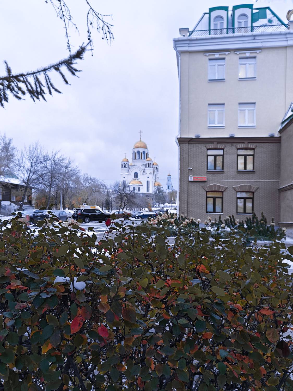 Photo #11164530