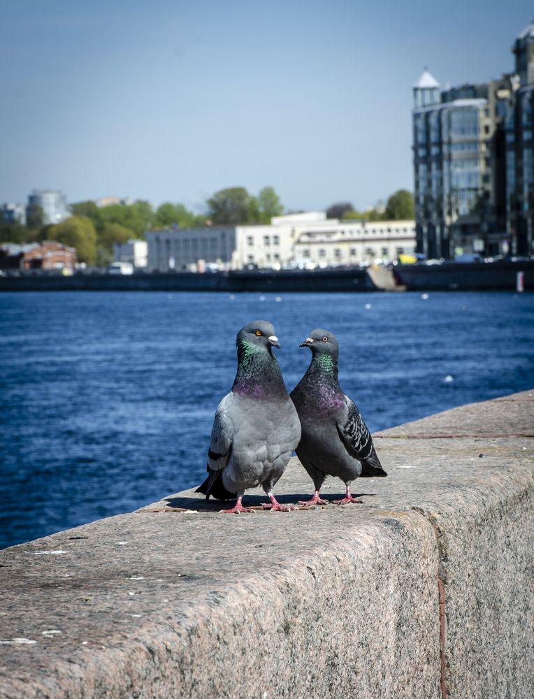 Photograph by Лиана Ратия