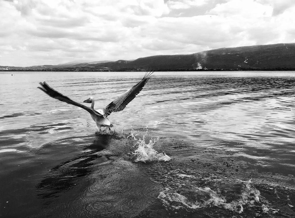 Photograph by HÜSEYİN DURAK