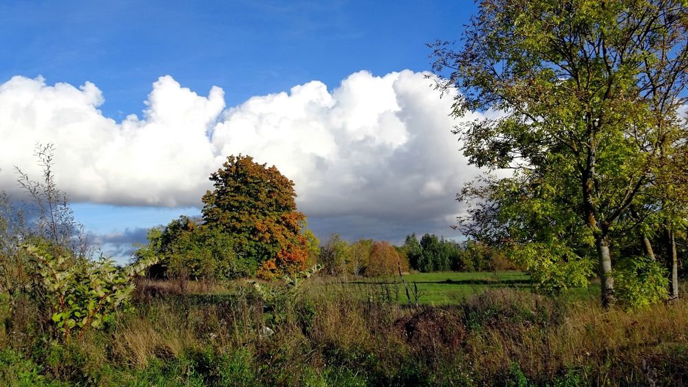 Photograph by Елизавета Маринен