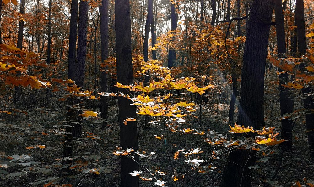 Photograph by Владислав Кравцов