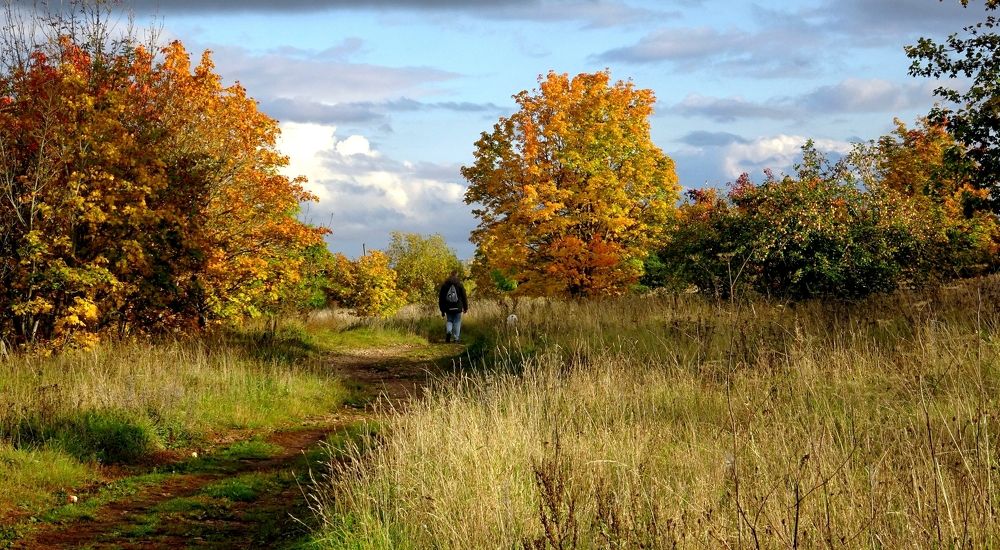 Photograph by Елизавета Маринен
