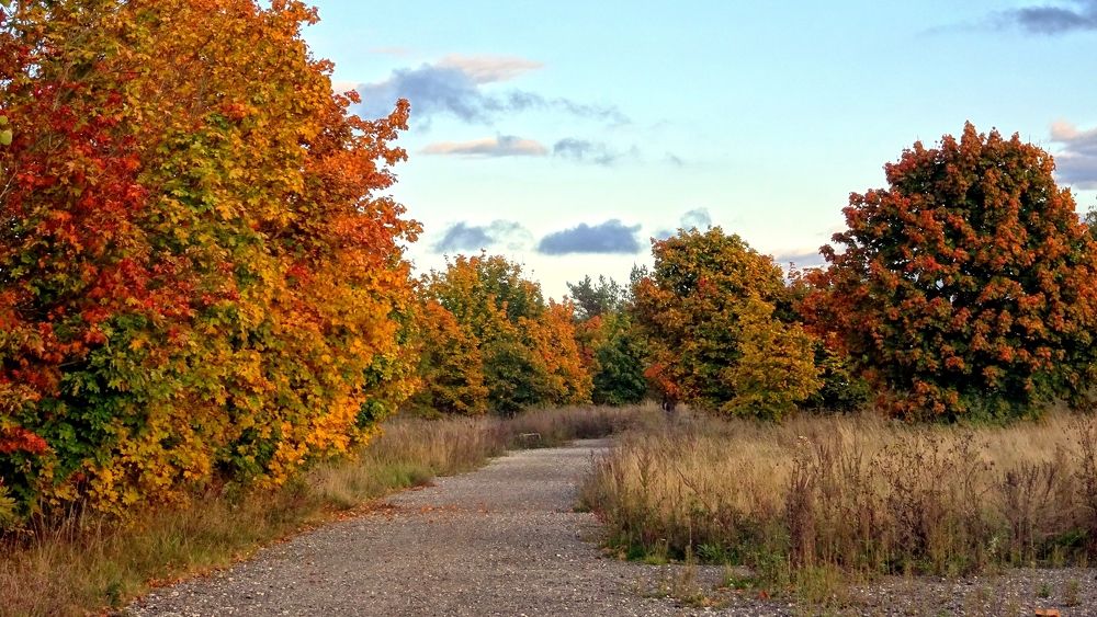Photograph by Елизавета Маринен