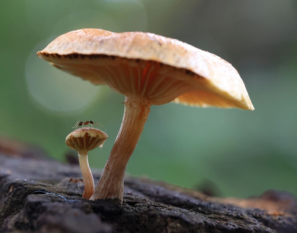 Photograph by Dhananjay J Thakur