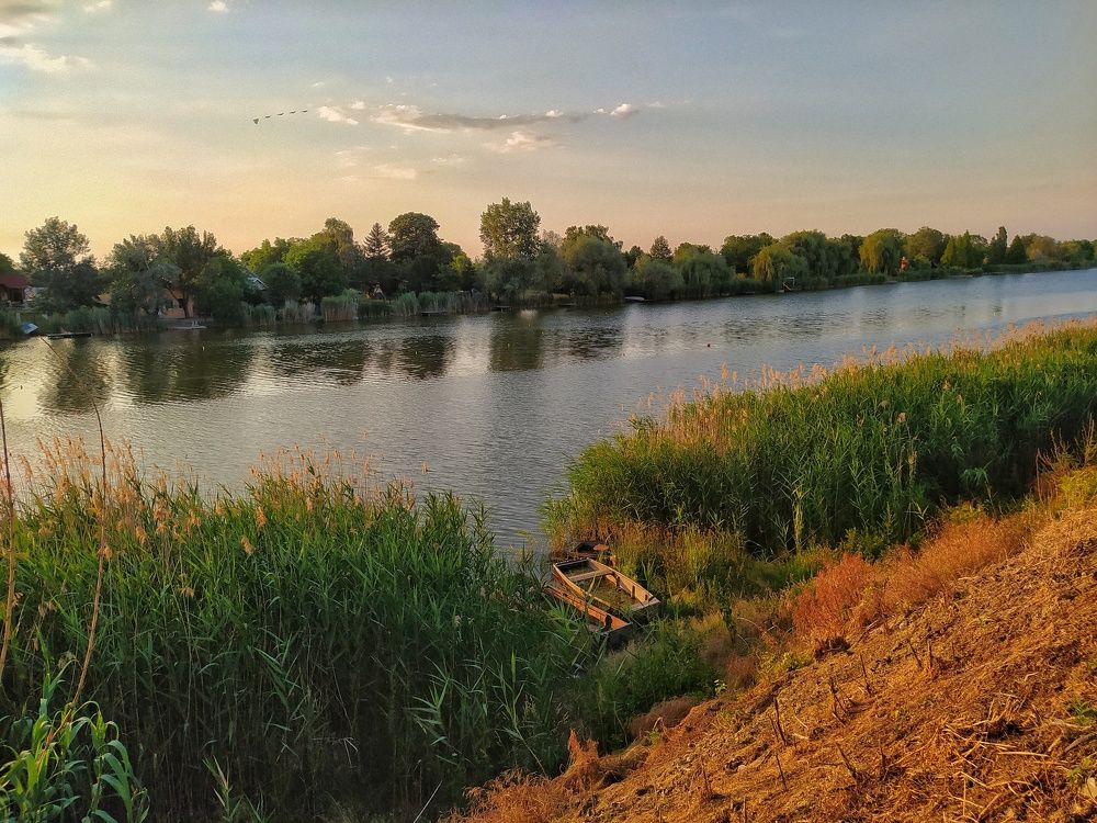 Photograph by Dragoslav M