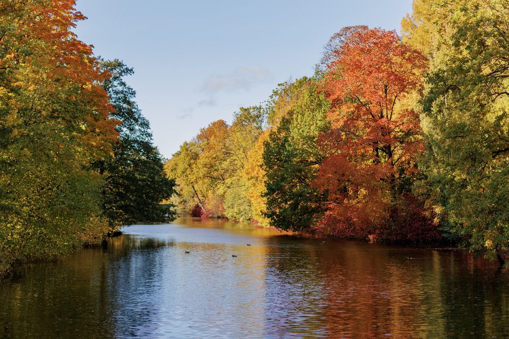 Photograph by Татьяна Пелгонен