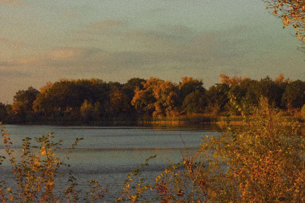 Photograph by Алина Орлова