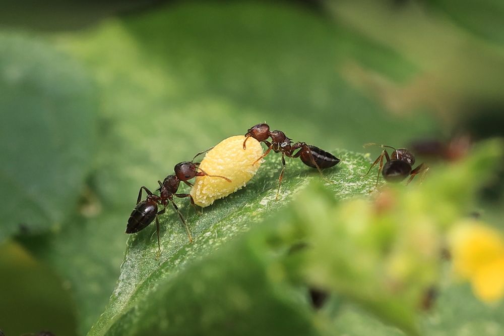 Photograph by Dhananjay J Thakur