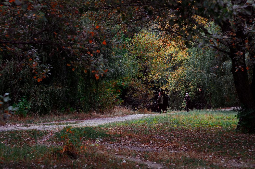 Photograph by Сергей Удовиченко