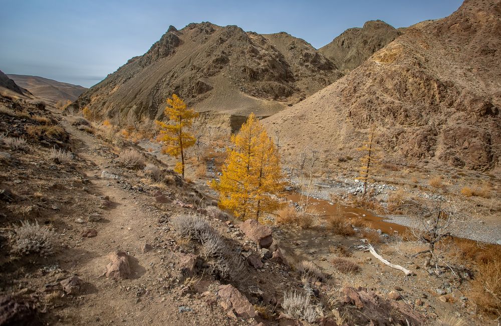 Photograph by Нина Хорева