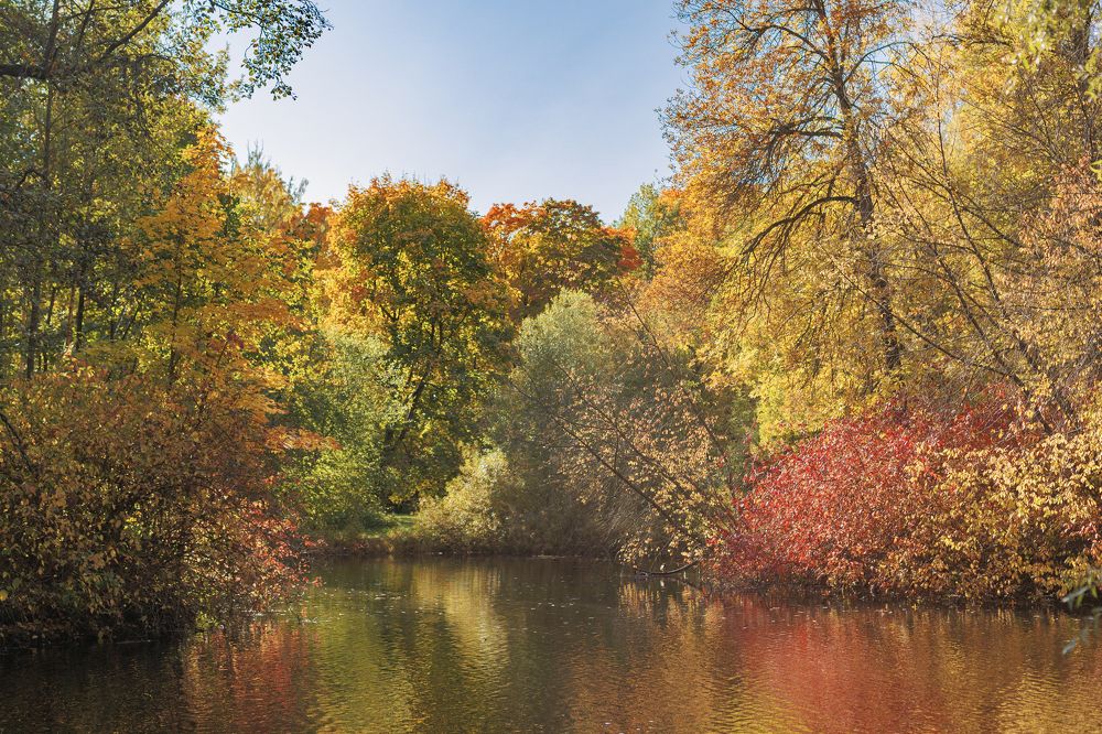 Photograph by Татьяна Пелгонен