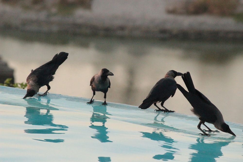 Photograph by Екатерина Александровна